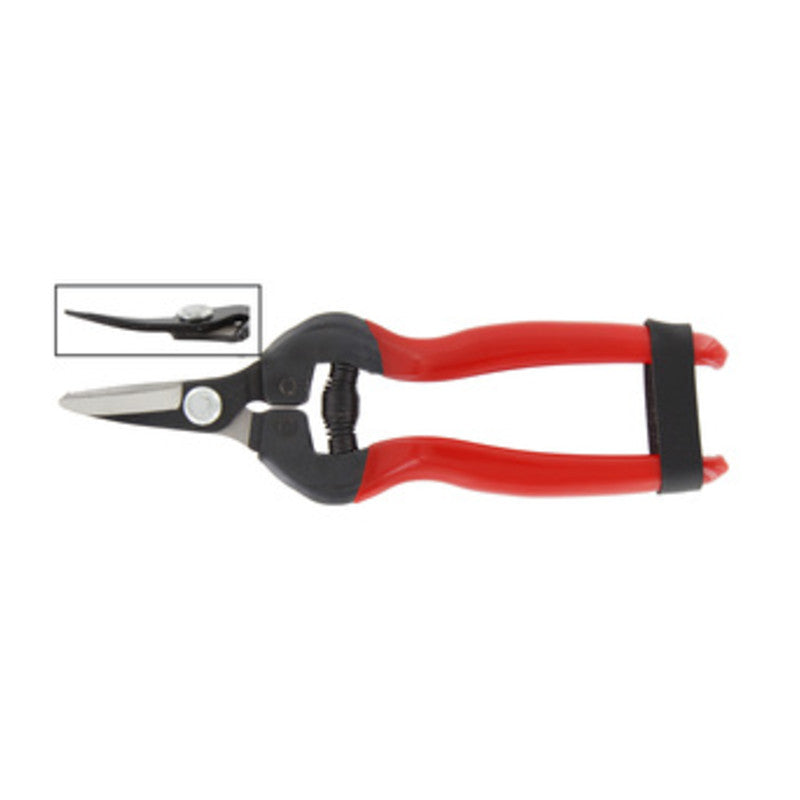 Q.TA' 1 FORBICI P/UVA LAME CURVE PROFESSIONALE