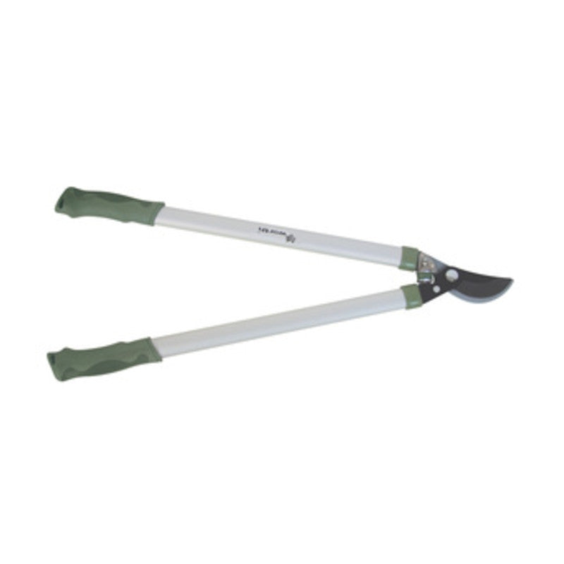 Q.TA' 1 WORTH 1214 TRONCARAMI 64 CM