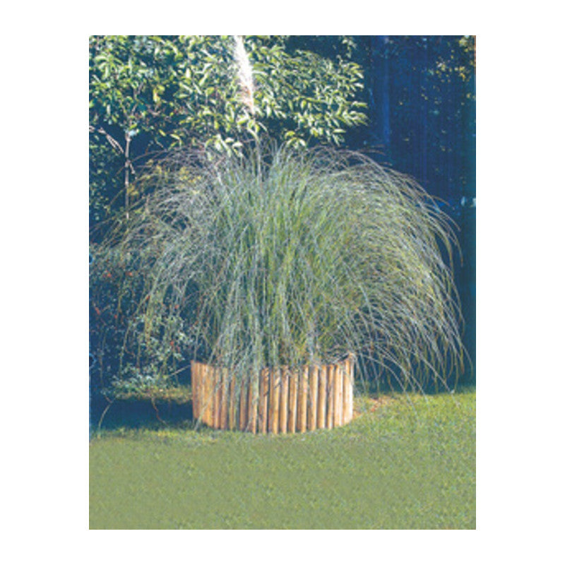 Q.TA' 1 BORDURA IN PINO IMPREGNATO ROTOLO 180XH20 CM