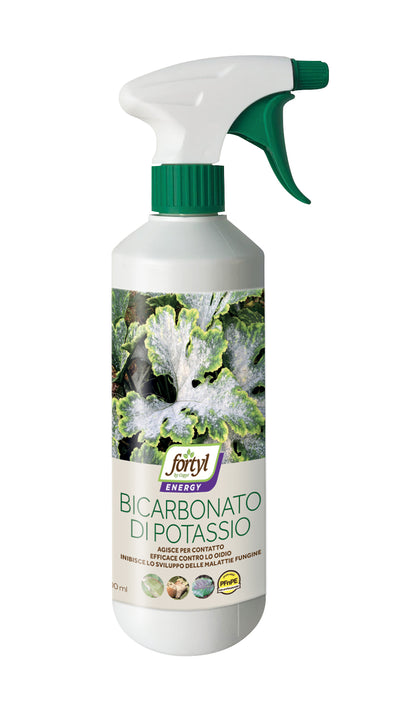 Q.TA'. 12 FUNGICIDA COPYR BICARBONATO DI POTASSIO 500 ML