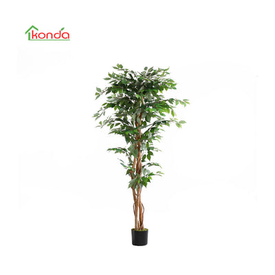 Q.TA' 2 C PIANTA FICUS ARTIFICIALE 180 CM