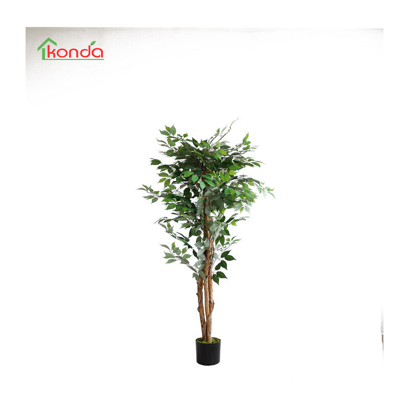 Q.TA' 2 C PIANTA FICUS ARTIFICIALE 150 CM