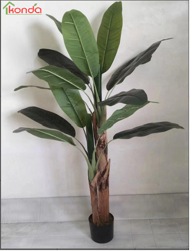 Q.TA'. 4 PIANTA BANANA ARTIFICIALE 165 CM