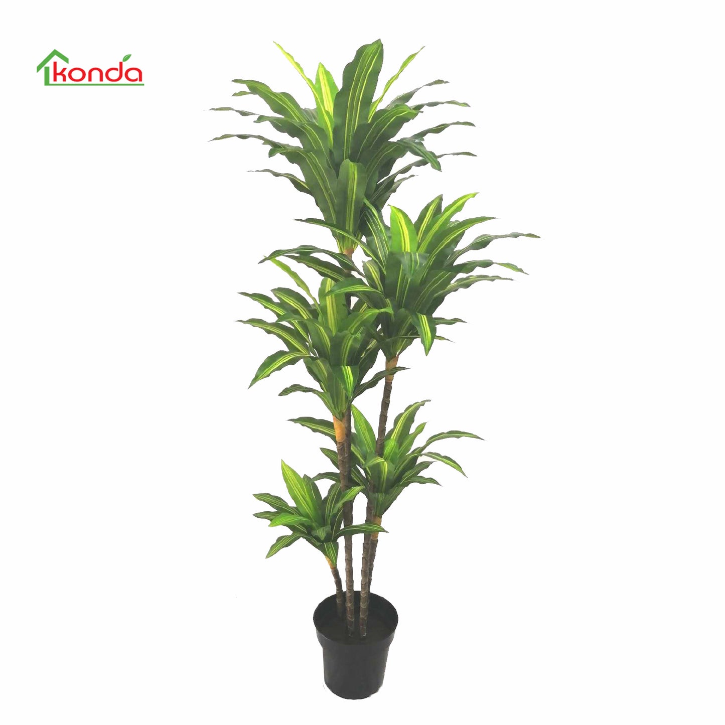 Q.TA'. 2 PIANTA DRACENA ARTIFICIALE 170 CM