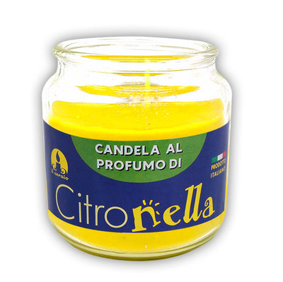 Q.TA'. 6 GIARA CITRONELLA 10X13