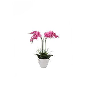 Q.TA' 1 C ORCHIDEA C/VASO BIANCO 60 CM