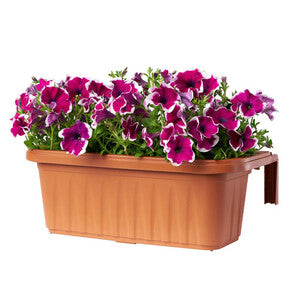 Q.TA' 1 FIORIERA RONDINE 60X20X18,5CM 15L TERRACOTTA