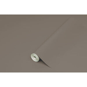 Q.TA' 1 PLASTICA ADESIVA HOMEDECO 288.3236 15 M TORT/LUC