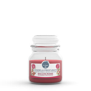 Q.TA' 6 CANDELA OFFICINA DEI FIORI BACCHE ROSSE 50 ORE