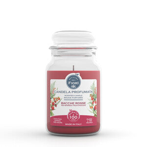 Q.TA' 6 CANDELA OFFICINA DEI FIORI BACCHE ROSSE 100 ORE