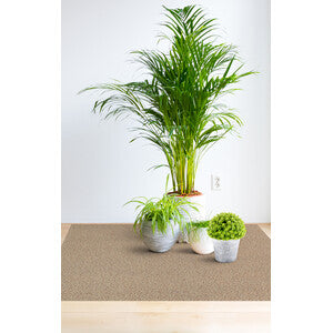 Q.TA' 80 COPRIPAVIMENTO PVC CORALLO 9845-4 0,80MM 200HCM