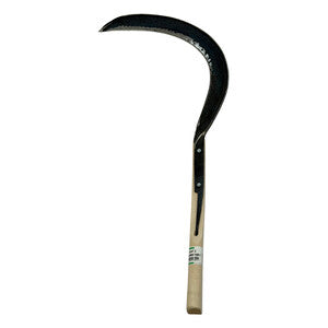 Q.TA' 1 SEGHEZZO ORSATTI CANTONIERE S/COSTA N. 3