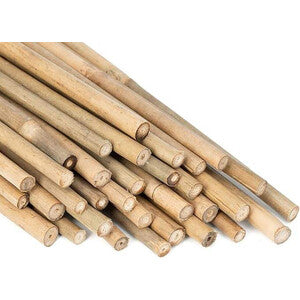 Q.TA' 25 C CANNA BAMBOO NATURALE 240 CM-D.20/22 MM