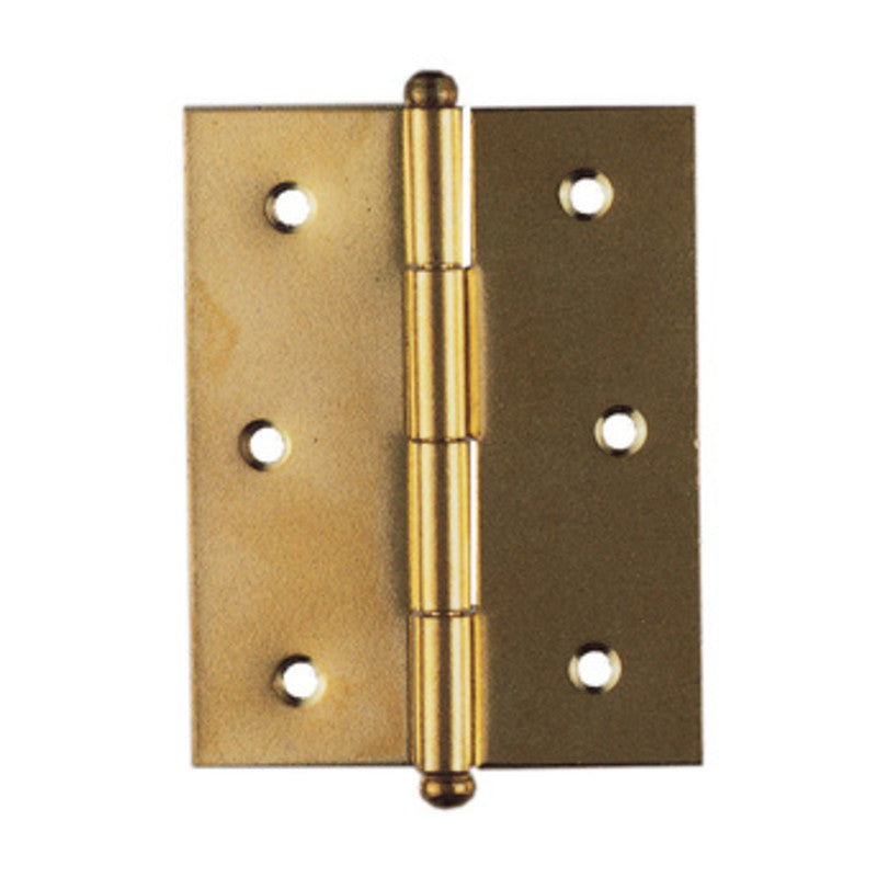 Q.TA' 5 BL CERNIERA ACCIAIO OTTONATO 20X30 MM 2