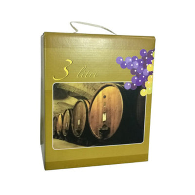 Q.TA' 15 SCATOLA P/SACCA BAG 3 L COLORATO E MANICO