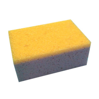 Q.TA' 25 SPUGNA P/LAVAGGIO AUTO ANTINSETTI IDEA