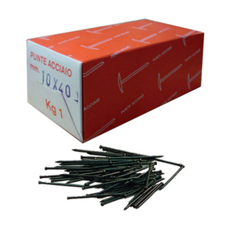 Q.TA' 10 SC CHIODI TESTA GRUPPINO ACCIAIO 8X30 80 G*