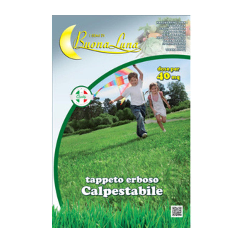 Q.TA' 1 SEMI PRATO CALPESTABILE 1 KG