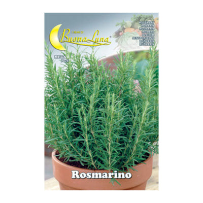 Q.TA' 10 SEMI ORTO ROSMARINO