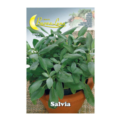 Q.TA' 10 SEMI ORTO SALVIA