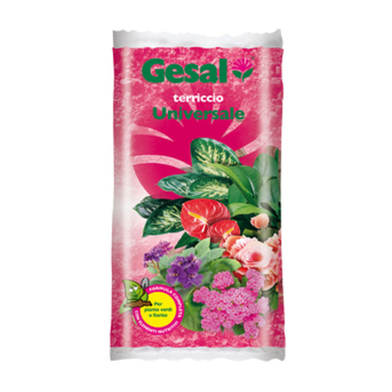 Q.TA' 1 GESAL TERRICCIO UNIVERSALE 10 L