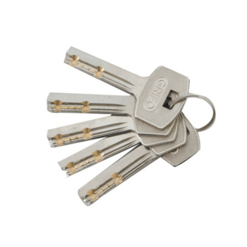 Q.TA' 10 CHIAVE TIPO DOM P/LUCCHETTO GRIFO CORAZZATO