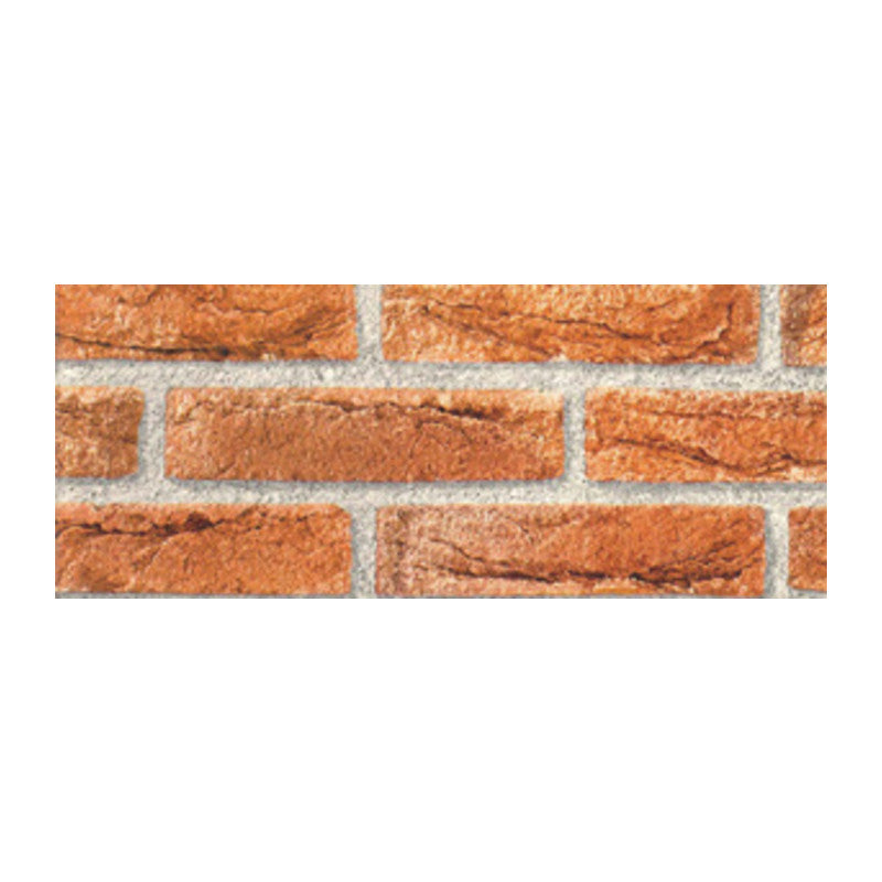 Q.TA' 6 RT PLASTICA ADESIVA 280.2158 MATTONI ROS 2,5 M