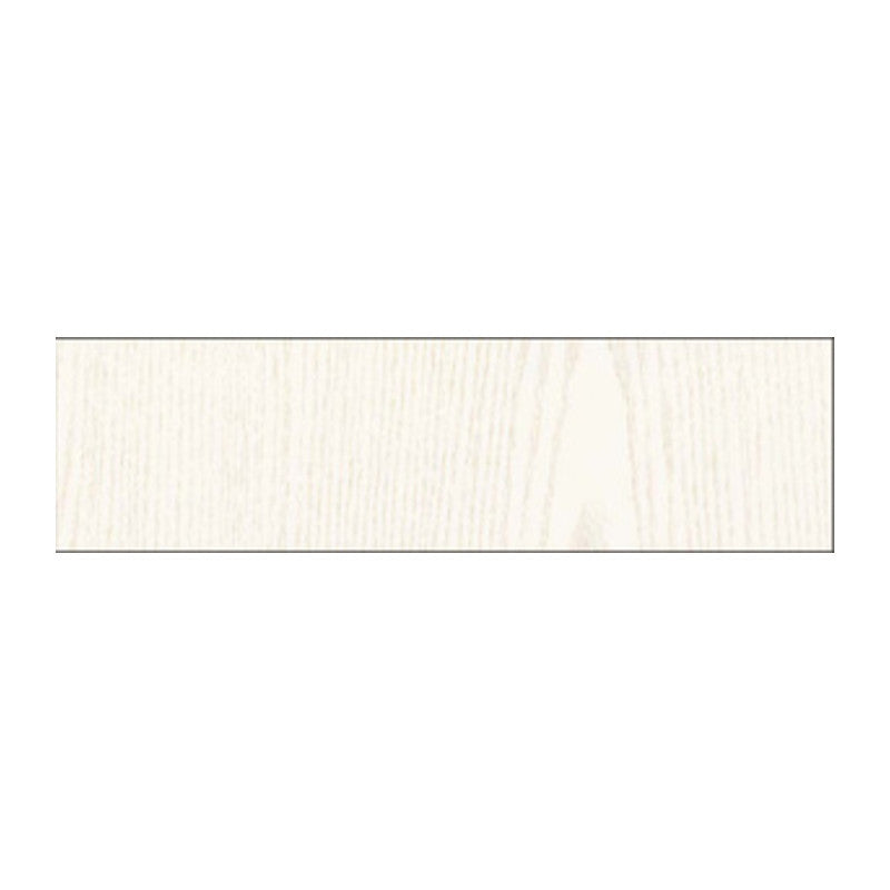 Q.TA' 6 RT PLASTICA ADESIVA 280.2602 MADREPERLA 2,5 M