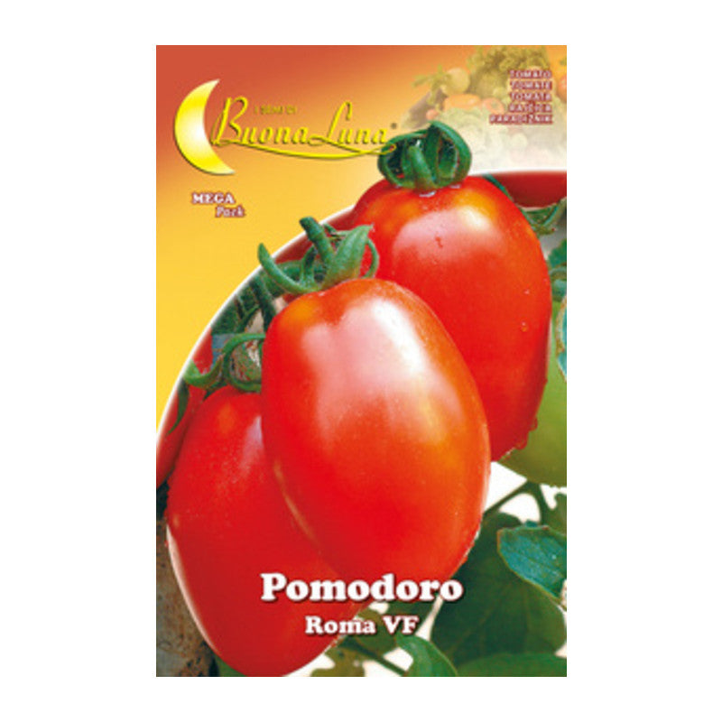 Q.TA' 10 SEMI ORTO POMODORO ROMA