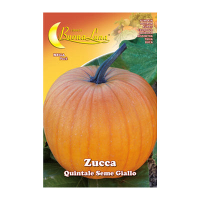 Q.TA' 10 SEMI ORTO ZUCCA QUINTALE