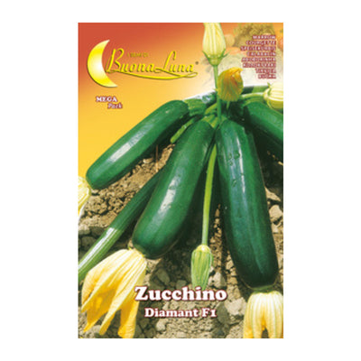 Q.TA' 10 SEMI ORTO ZUCCHINO DIAMANT