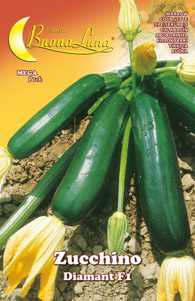 Q.TA'. 10 SEMI ORTO ZUCCHINO DIAMANT