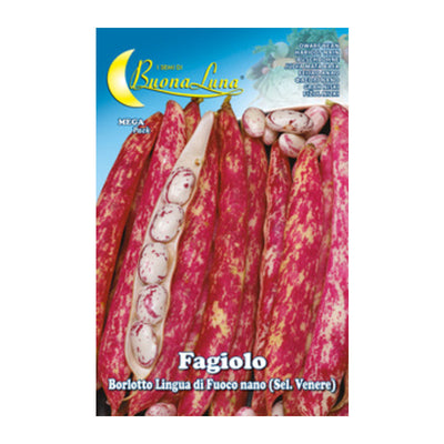 Q.TA' 5 SEMI ORTO FAGIOLI NANI BORLOTTI