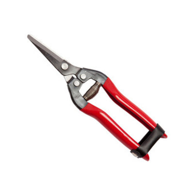 Q.TA' 1 FORBICI P/UVA FALCI LAME DRITTE 19 CM