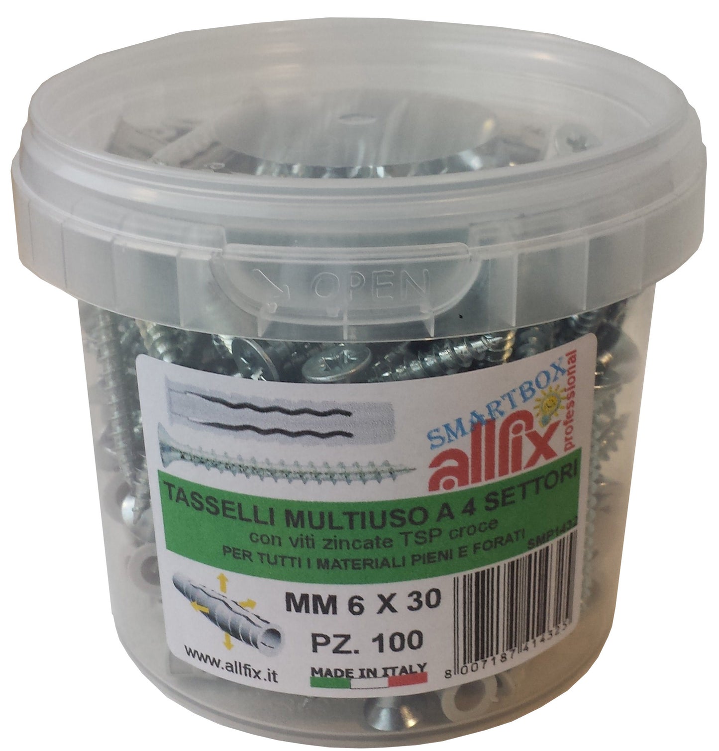 ALLFIX 100 TASSELLI CON VITI F4 6X30 MM*